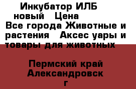 Инкубатор ИЛБ-0,5 новый › Цена ­ 35 000 - Все города Животные и растения » Аксесcуары и товары для животных   . Пермский край,Александровск г.